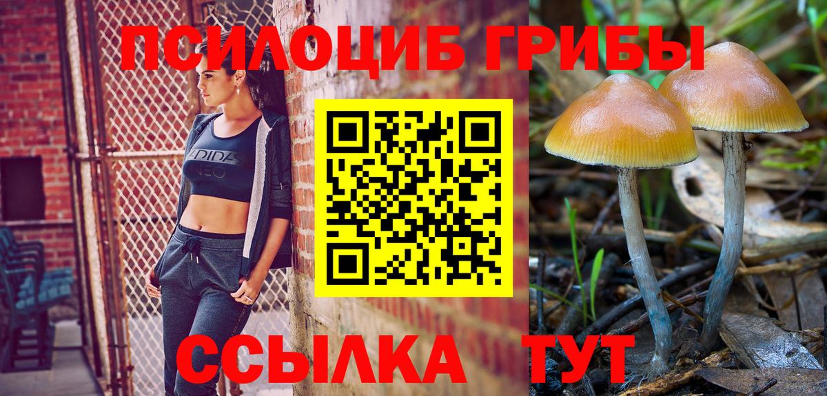Гашиш  ГАШИШ  NBOMe  КОКАИН  Нальчик  Бошки Шишки  Вход с VPN  МЕФ кристаллы 