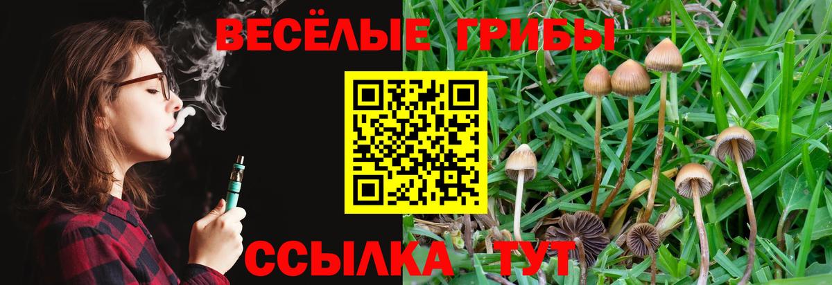 Галлюциногенные грибы мухоморы  Вход с VPN  Нальчик 